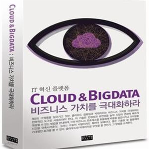 Cloud &amp; Bigdata 비지니스 가치를 극대화하라 (IT 혁신 플랫폼)