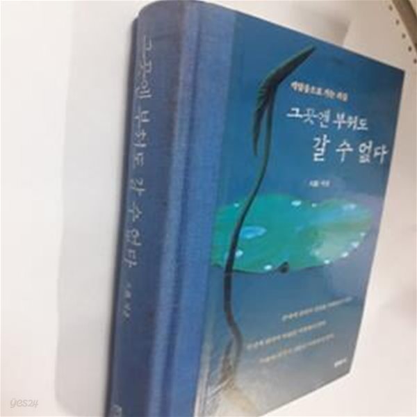 그곳엔 부처도 갈 수 없다      /(대우/사진참조)