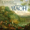 Susanna Pisana 요한 에른스트 바흐: 바이올린과 포르테피아노를 위한 6개의 소나타 (Johann Ernst Bach: 6 Sonatas For Violin & Fortepiano)