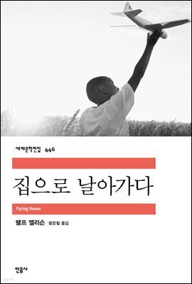 집으로 날아가다