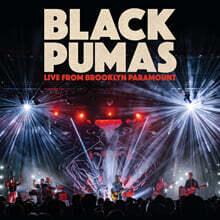 Black Pumas (블랙 푸마스) - Live from Brooklyn Paramount [브라운 컬러 2LP]
