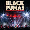 Black Pumas (블랙 푸마스) - Live from Brooklyn Paramount [브라운 컬러 2LP]