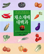 가정 채소 재배 대백과
