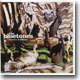 The Bluetones - Science & Nature