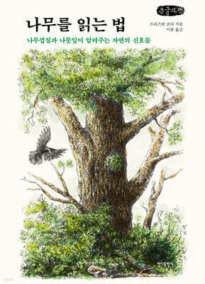 나무를 읽는 법 (큰글자책)