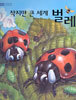 작지만 큰 세계 벌레