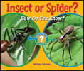 Insect or Spider?: How Do You Know?