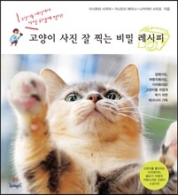 고양이 사진 잘 찍는 비밀 레시피