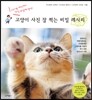 고양이 사진 잘 찍는 비밀 레시피
