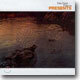 Takefumi Haketa - Presents