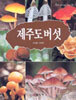 제주도 버섯