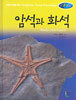 암석과 화석