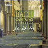 Netherlands Bach Collegium 바흐: 칸타타 전곡집 (Bach: Cantata Complete)