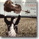 Bach : 6 Suites For Cello Solo : Matt Haimovitz