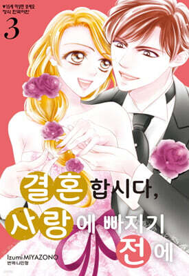 결혼합시다, 사랑에 빠지기 전에 3