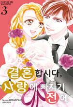 결혼합시다, 사랑에 빠지기 전에 3