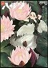 ハルタ 17