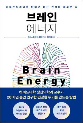 브레인 에너지