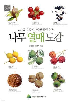 나무 열매 도감
