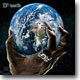 D12 - D12 World