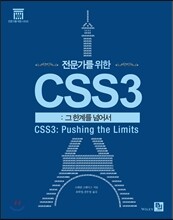 전문가를 위한 CSS3