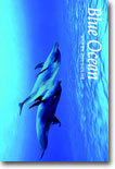 Blue Ocean : 음악과 함께 떠나는 바닷속 여행