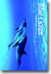 Blue Ocean : 음악과 함께 떠나는 바닷속 여행