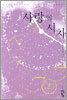 사랑의 시차