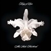 Kings Of Leon (킹스 오브 리온) - Aha Shake Heartbreak [2LP]