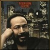 Marvin Gaye (마빈 게이) - Midnight Love [LP]