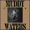 Muddy Waters - King Bee