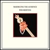 빔 메르텐스: 작품집 (Wim Mertens: Maximizing The Audience) [2LP]