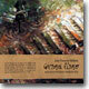 Jean Francois Maljean - Grand Piano