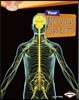 Your Nervous System