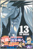 BLEACH ブリ-チ 13