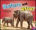 Before and After