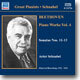 Artur Schnabel 베토벤: 피아노 소나타 11번 12번 13번 (Beethoven: Piano Works Vol.4) 아르투르 슈나벨