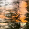 Avishai Cohen (아비샤이 코헨) - Ashes to Gold [LP]