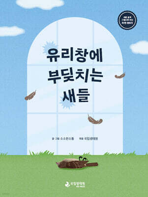 유리창에 부딪치는 새들