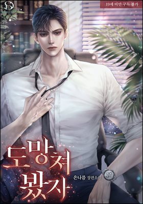 도망쳐 봤자 3권 (완결)