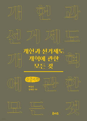 개헌과 선거제도 개혁에 관한 모든 것 (큰글자책)