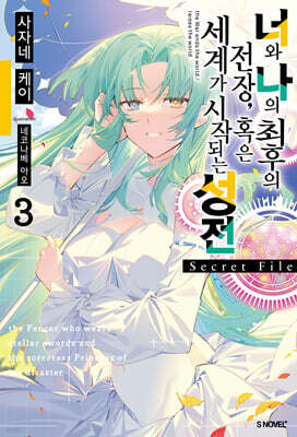 너와 나의 최후의 전장 혹은 세계가 시작되는 성전 Secret File 3