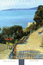 뾰족한 전나무의 땅