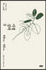 시경 강의 3