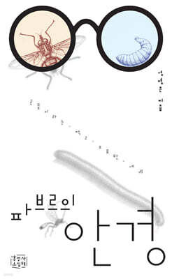 파브르의 안경