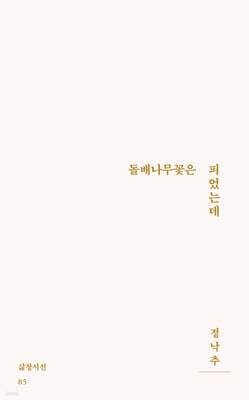 돌배나무꽃은 피었는데