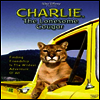 Charlie The Lonesome Cougar (찰리 더 론섬 쿠거)(지역코드1)(한글무자막)(DVD)