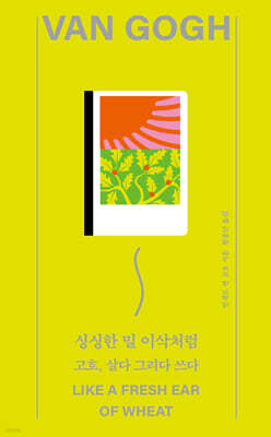 싱싱한 밀 이삭처럼