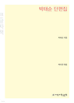 박태순 단편집 (큰글자책)
