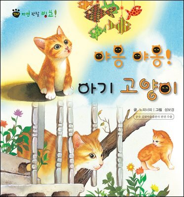 꼬마 자연 관찰 빙고. 07 야옹야옹! 아기 고양이